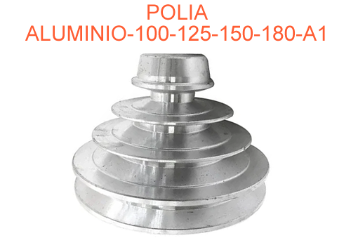 POLIA 100 A1 F.FUND