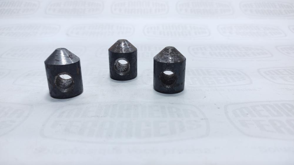 PINO DO FUEIRO RANDON