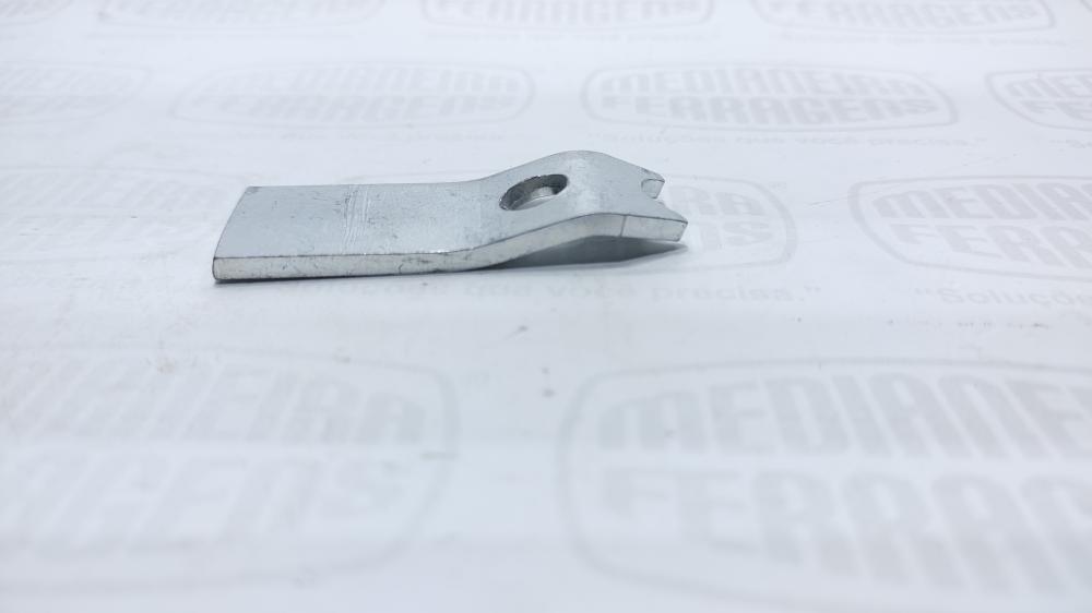 ARANHA DO ASSOALHO GUERRA